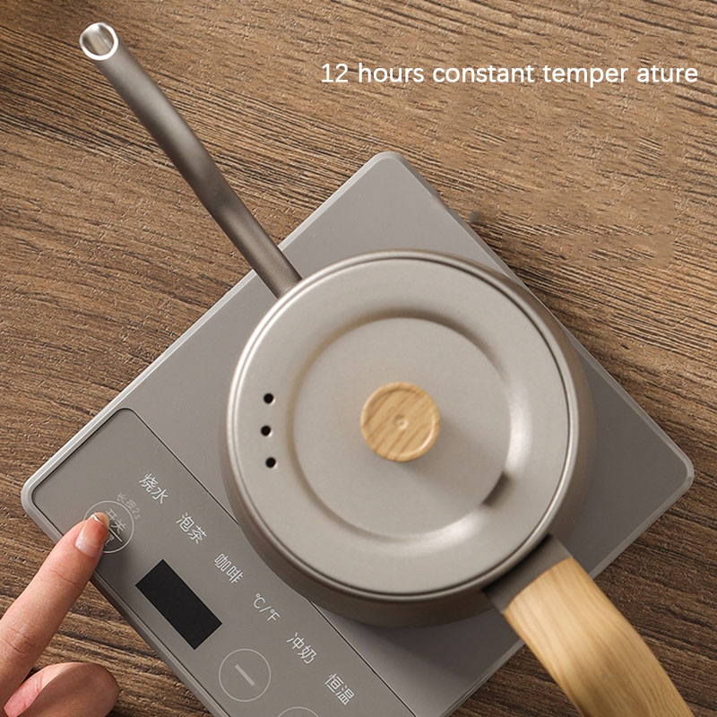 110v 220v Kettle teapot goose  - Electric Kettle Gooseneck recension och pris