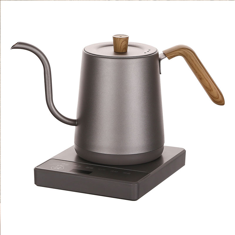 110v 220v Kettle teapot goose  - Electric Kettle Gooseneck recension och pris