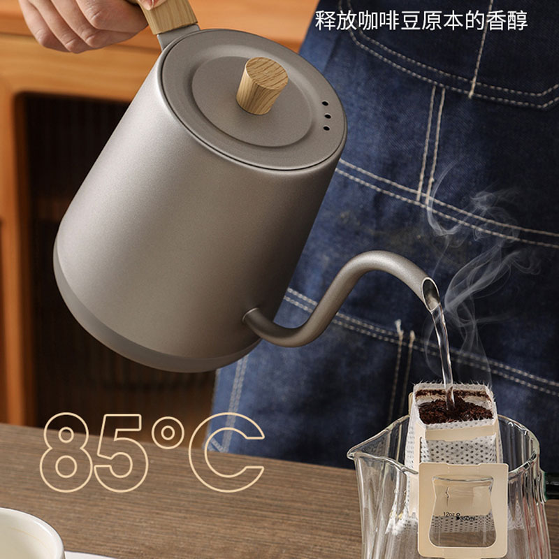 110v 220v Kettle teapot goose  - Electric Kettle Gooseneck recension och pris