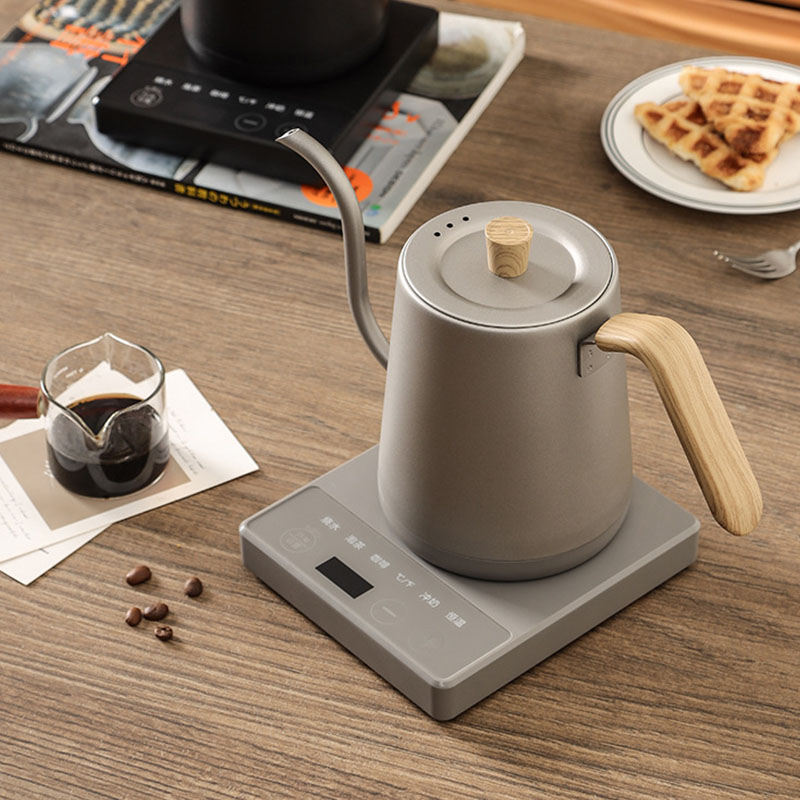 110v 220v Kettle teapot goose  - Electric Kettle Gooseneck recension och pris
