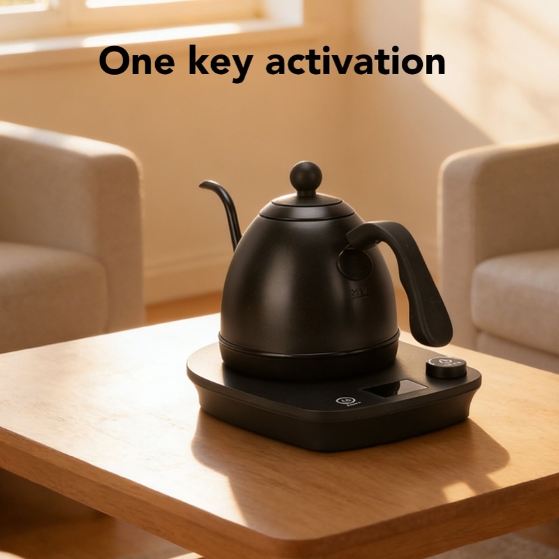 1000W Electric Gooseneck Kettl - Electric Kettle Gooseneck recension och pris