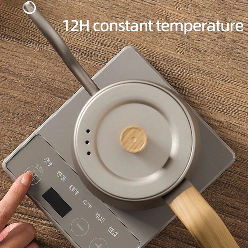 110V/220V Gooseneck Electric K - Electric Kettle Gooseneck recension och pris